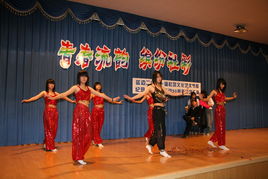 青春飛揚(yáng)，文化交融——延邊二中首屆社團(tuán)文化節(jié)文藝匯演圓滿(mǎn)舉行